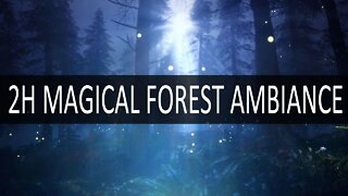 2H Magical Fantasy Forest Ambiance – Hypnotic Sounds to Help You Fall asleep