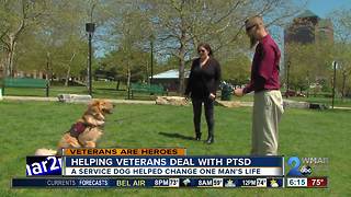 Unconditional love: Service Dog changing veteran’s life
