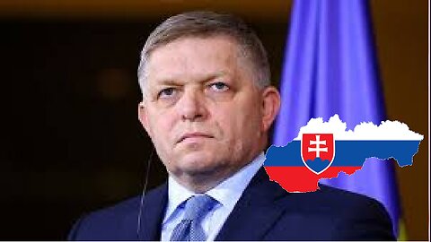 Pro-Ukraine nut tried to kill Slovak PM Fico