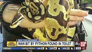 Snake slithers out of toilet, bites Florida man on arm