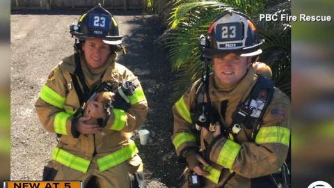 Dogs rescued in suburban West Palm Beach house fire