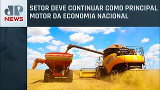 Agronegócio brasileiro pode crescer até 12% neste ano