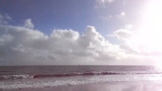 Bournemouth Beach Featuring Campbell The Toast