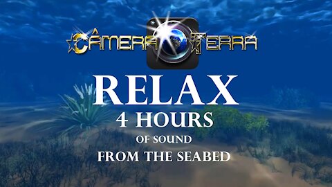 🌎4 Hours of Sound from the Bottom of the Sea to Relax, Sleep and Meditate |2021