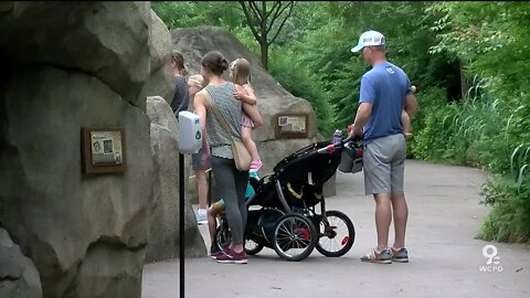 Cincinnati Zoo opens for the first time in three months