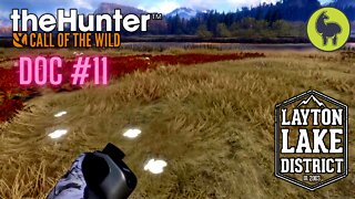 The Hunter: Call of the Wild, Doc #11 Layton Lakes
