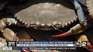 How to know if the steamed crabs and crab cakes you're eating are really from Maryland
