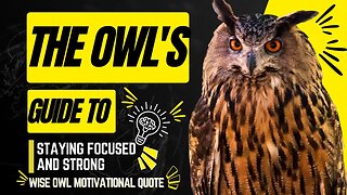 Wise Owl Motivational Quote│The Owl's Guide To Staying Focused & Strong│#quote #motivationalvideo