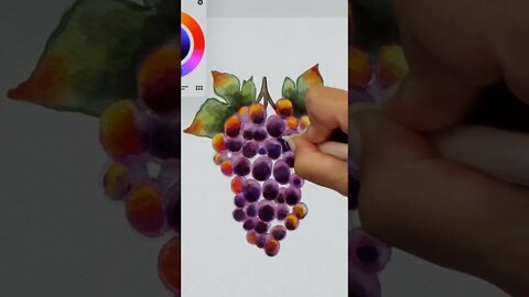 Procreate Watercolor Grapes 💕