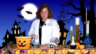 MiSci Spooky Science Celebration