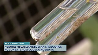 Arboviroses em GV: Agentes Fiscalizam e Buscam Criadouros no Combate aos Focos do Mosquito.