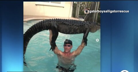 Nearly 9-foot alligator pulled from pool