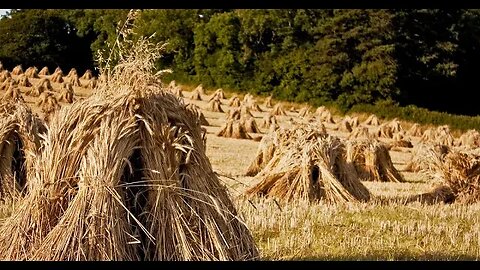 The Secret In The Wheat= BIBLE CODE