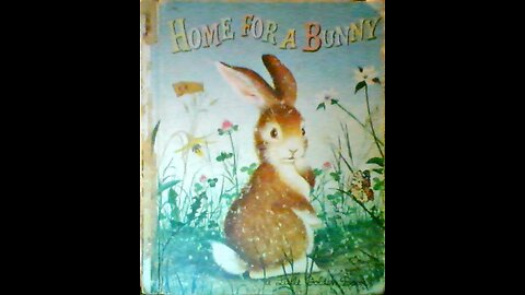 Home for a Bunny by Margaret Wise Brown