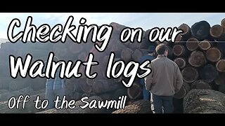 Off to the Sawmill: Checking on our Walnut Logs