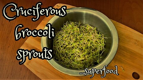 Cruciferous Broccoli Spouts