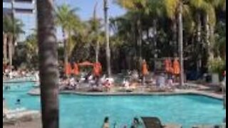 Marriott Marquis San Diego Marina Room and Pool Tour