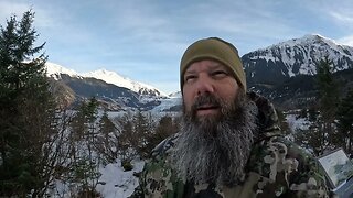 Emergency on the Alaska homestead | Operation Chicken Rescue