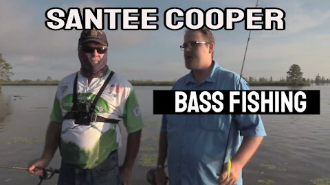 Santee Cooper Bass Fishing