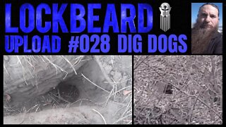 UPLOAD #028. Dig Dogs