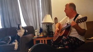 Vocal Husky Joins The Sing Along