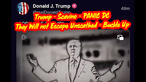 Trump - Scavino - PANIC DC > They Will not Escape Unscathed - Buckle Up