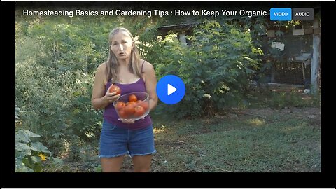 Homesteading Basics and Gardening Tips : How to Keep Your Organic Tomatoes Garden Fresh