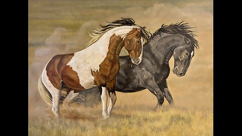 Tribute to Tupi Wild Stallion of McCullough Peaks in Wyoming by Karen King