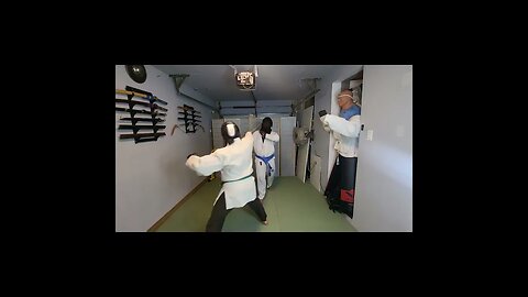 Hema short sword and longsword sparring and techniques #swordfighting