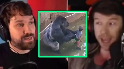 Harambe | PKA