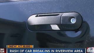 Thieves find unique way to break into woman's SUV
