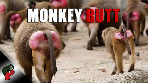 Monkey Butt | Grunt Speak Shorts