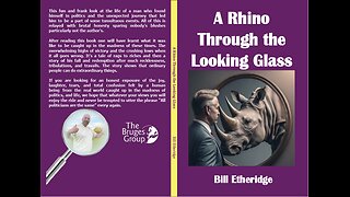 Bill Etheridge Interview - A Rhino Through the Looking Glass