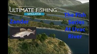 Ultimate Fishing Simulator: The Fish - Uvac River - Zander - [00036]