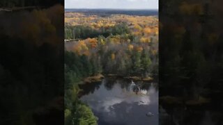 Drone Fly's Over Ontario Wilderness In Autumn #short #shortvideo #shorts #shortsvideo