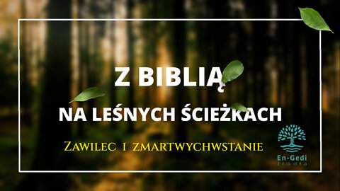 Z Biblią na leśnych ścieżkach - zawilec i zmartwychwstanie