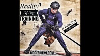 Professional Dog Training - It Requires YOU, The Owner To Accountable.