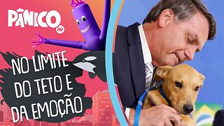 BOLSONARO É MAIS AMIGO DOS ANIMAIS DO QUE DO AUXÍLIO BRASIL?