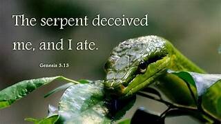 Genesis 3: 1 -24 The curse of the serpent & the fall of mankind.