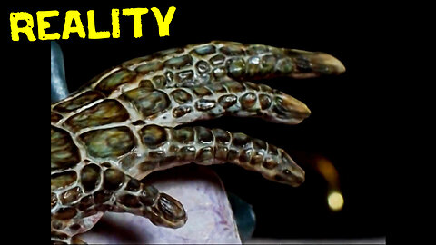 Outer Limits Shows Reptilian REALITY!