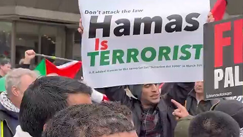 Man Carrying 'Hamas is Terrorist' Sign Tackled and Arrested in London