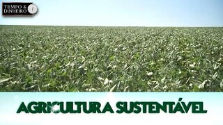 Agricultura Sustentável - com Frederico Olivi