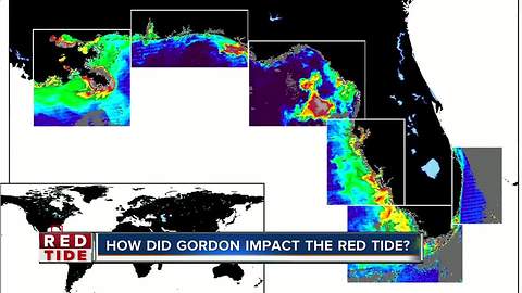 FWC not sure how tropical storm impacted red tide movement