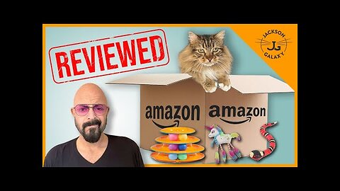 Cat Expert Reviews Bestselling Cat Toys on Amazon