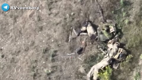 Watch Russian Army Annihilating Ukrainian Troops At Kherson Front