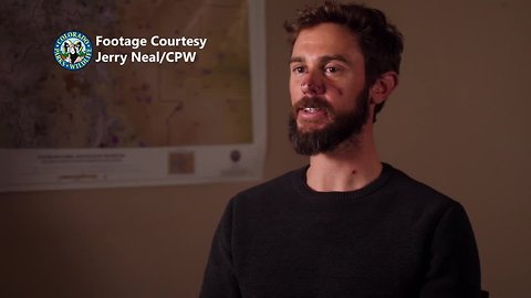 Travis Kauffman talks with CPW about Horsetooth mountain lion attack