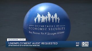 Unemployment audit requested