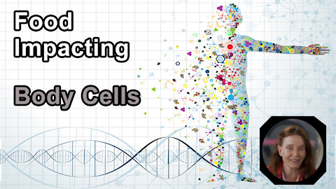 Seeing How Food Impacts Every Cell In Your Body - Anna Maria Clement, PhD - Interview