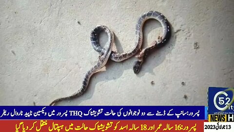 Pasrur: Two youths in critical condition after being bitten by snake Vaccine missing at THQ Pasrur