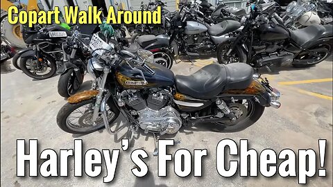 Copart Walk Around Motorcycle Edition, Cheap Harleys, Ninjas, and Hayabusa